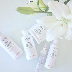 56ddc4423a956645a72748a85b8fc280